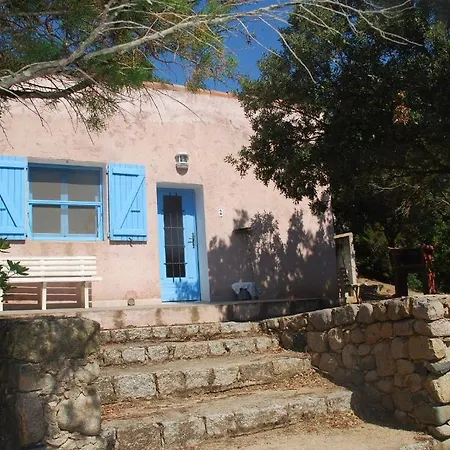 Ribellinu