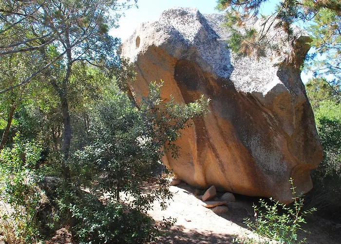 假日公园 瑞贝利努公寓酒店 *